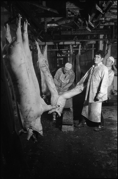 Abattoirs "la Nationale"