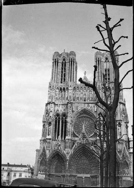 Arbres devant la façade ouest