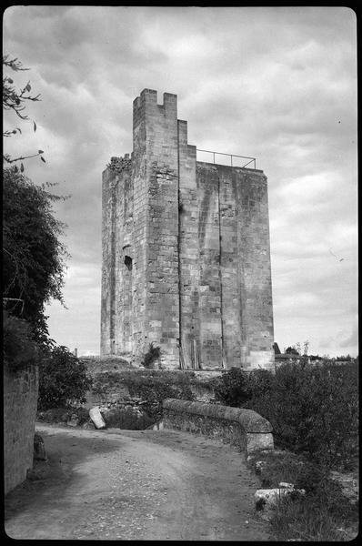 Face sud du donjon