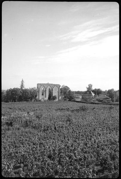 Restes de la première église : grand mur gothique au milieu des vignes dit la Grande Muraille depuis le domaine du Clos Fourtet