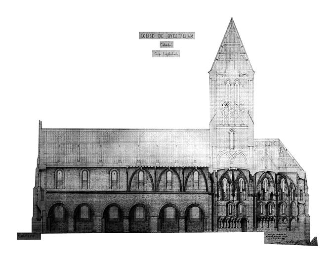 Coupe longitudinale (plume)