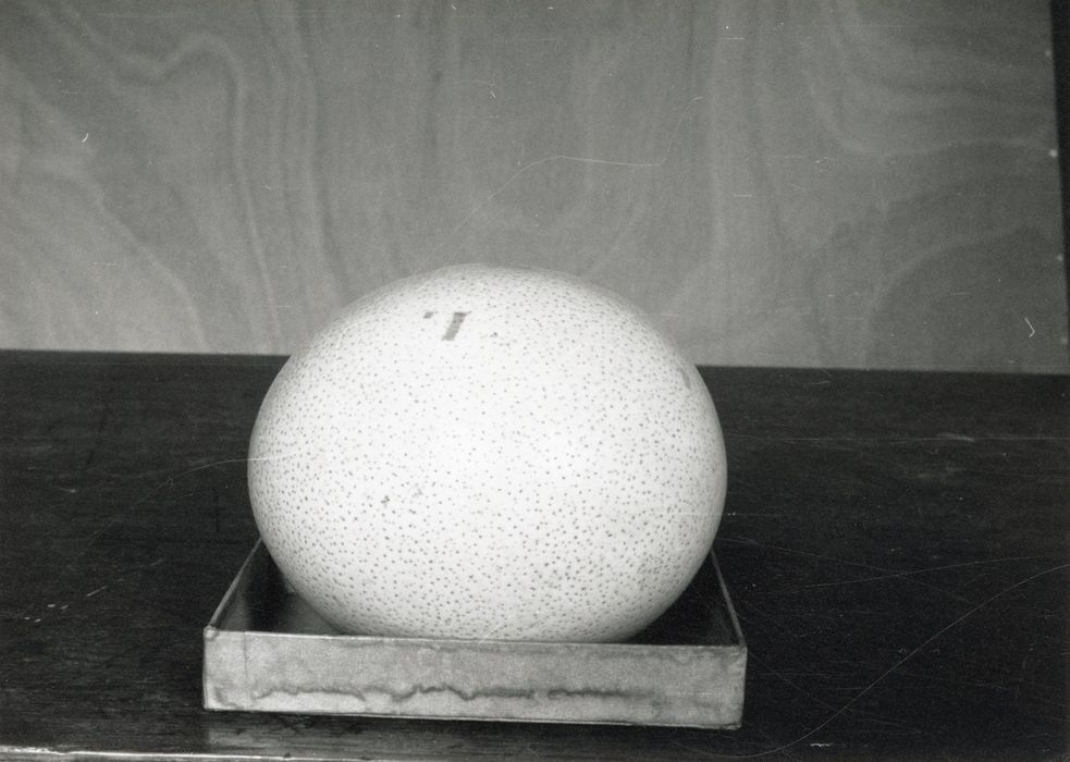 Objets de collection (3) (oeufs d'autruche)