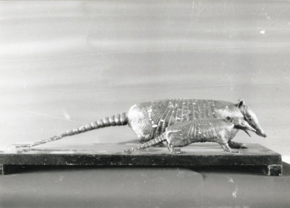 Animaux naturalisés (2 tatous)
