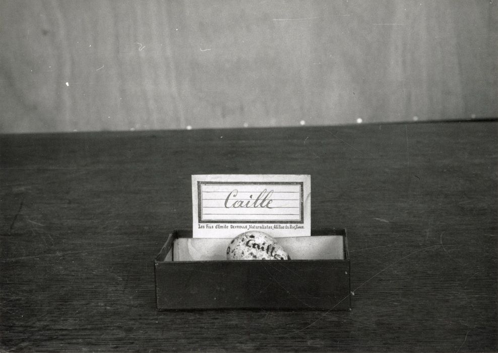objets de collection (œuf) : Caille