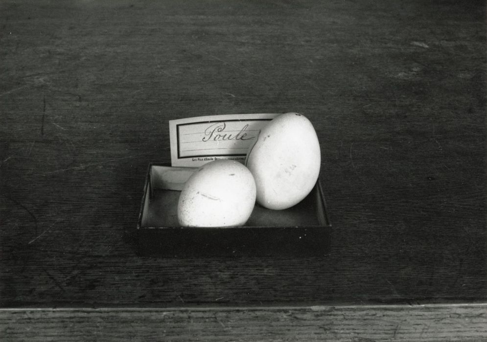 objets de collection (œufs) : Poule d’eau