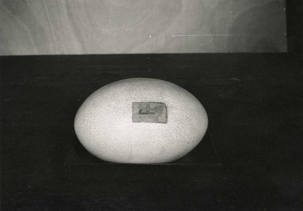 objets de collection (œufs) : Nandou