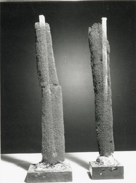 Objets de collection (2) (éponges)