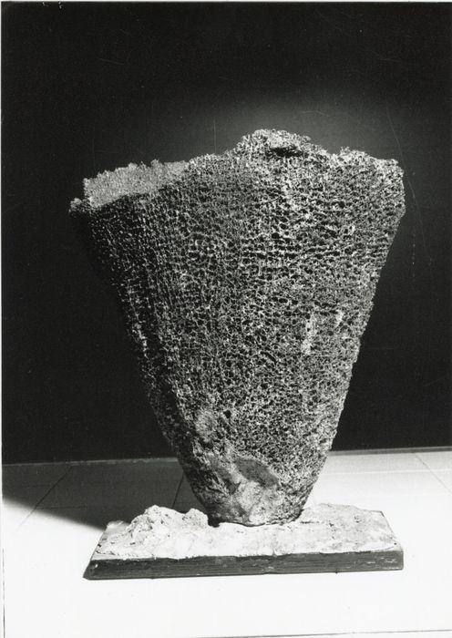 objets de collection (2) (éponges)