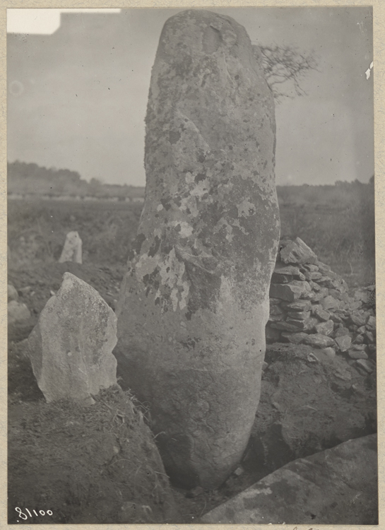 Menhir avec incisions représentant des serpents