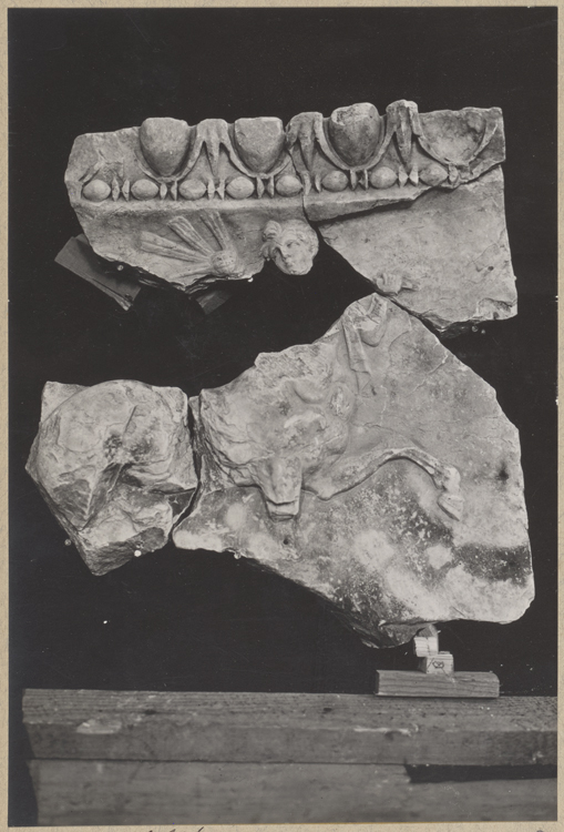 Fouilles du théâtre : fragments de sculpture avec cheval et tête