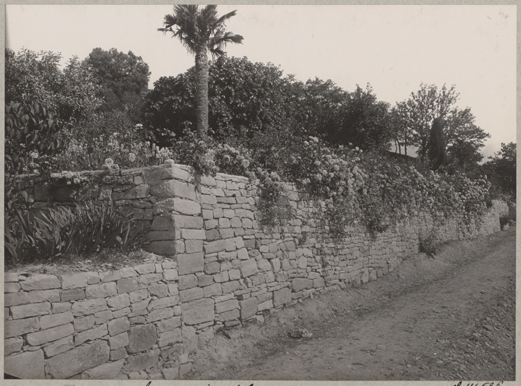 Mur romain ; Jardin