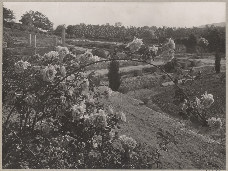 Terrains de fouilles gallo-romaines de la colline du Puymin : nymphée et rosier