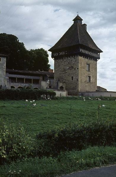 Donjon, volailles dans un pré au premier plan