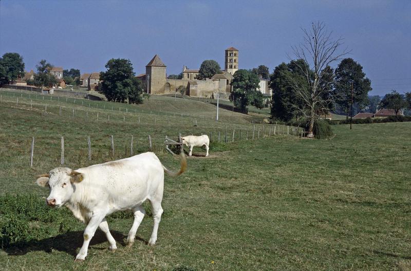 Ensemble du prieuré et clocher de l'église, vaches au premier plan