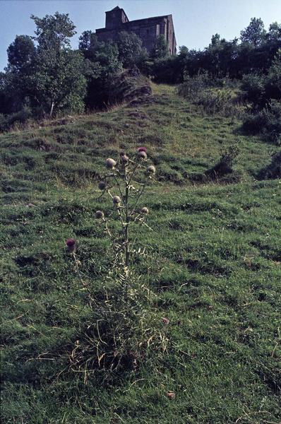 Vue éloignée sur l'ensemble isolé dans la campagne