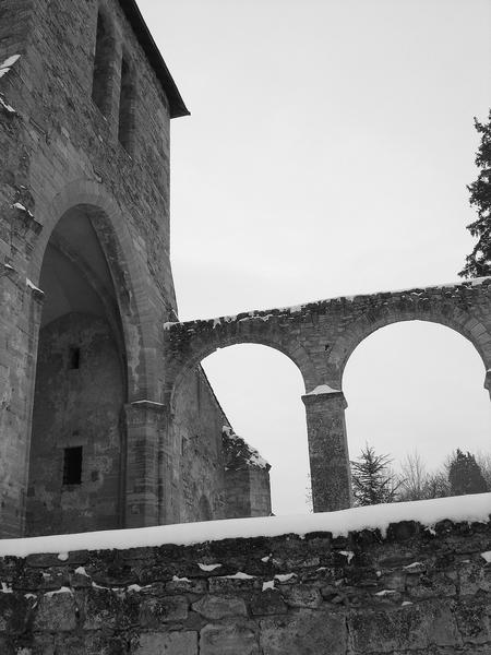 Ancienne église Notre-Dame : vue partielle de la nef ruinée