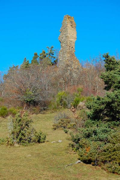 Vue générale des ruines du donjon dans leur environnement