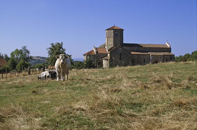 Ensemble sud, vaches dans un pré