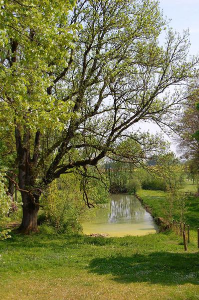 vue générale du canal