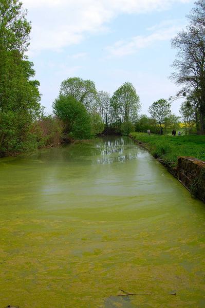 vue générale du canal