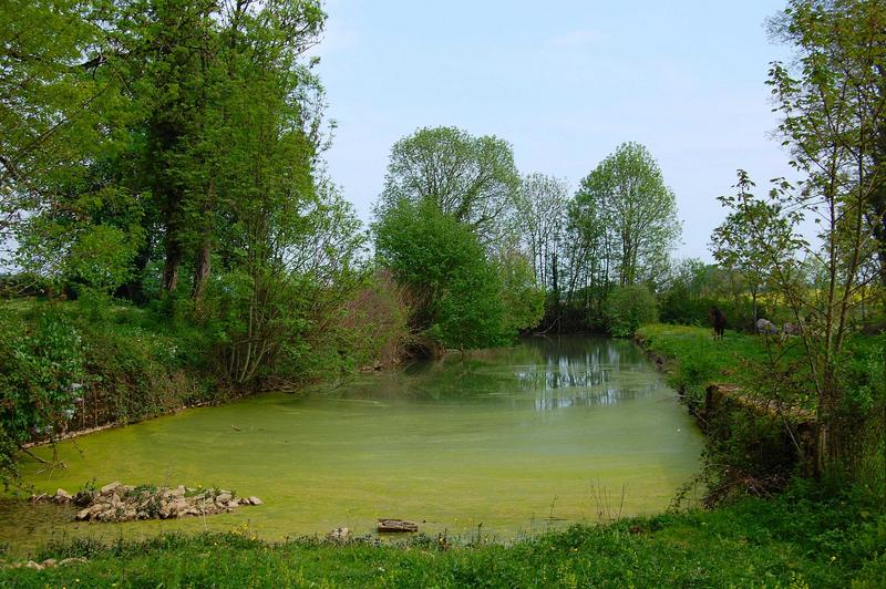 vue générale du canal