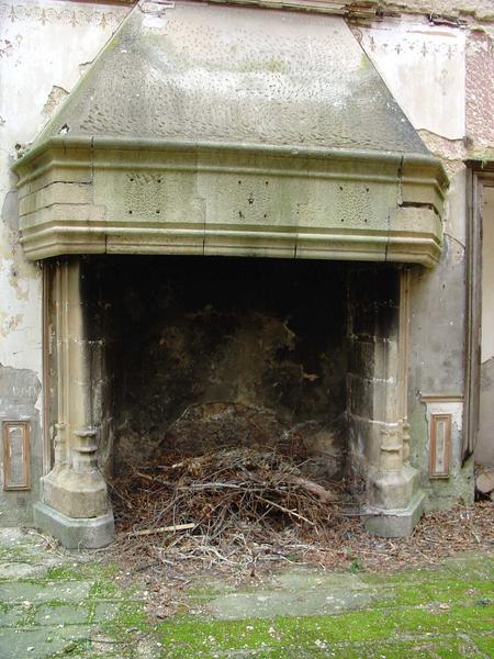 vue générale de la cheminée gothique du rez-de-chaussée