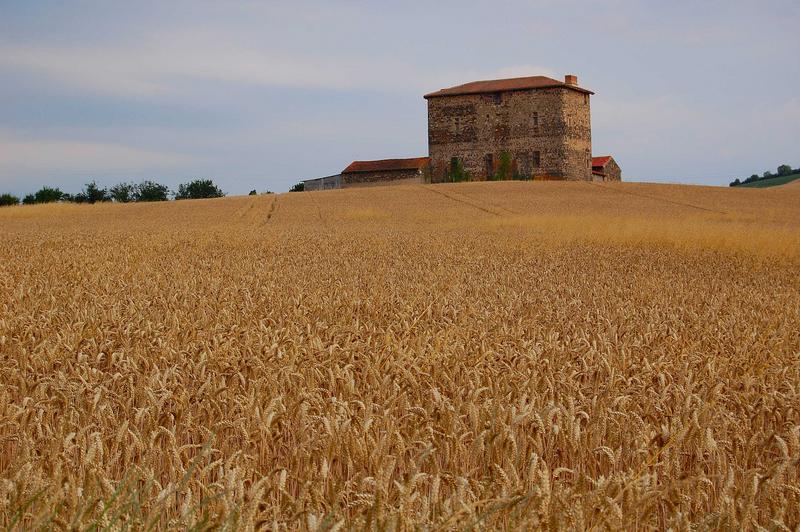 vue générale du château dans son environnement