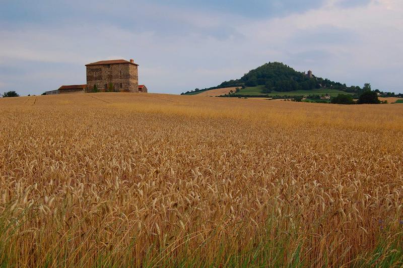 vue générale du château dans son environnement