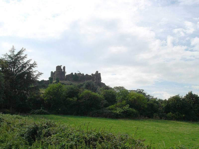 vue générale des ruines dans leur environnement