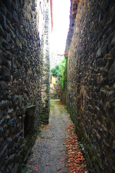 vue générale d'une ruelle située à l'intérieur de l'enceinte