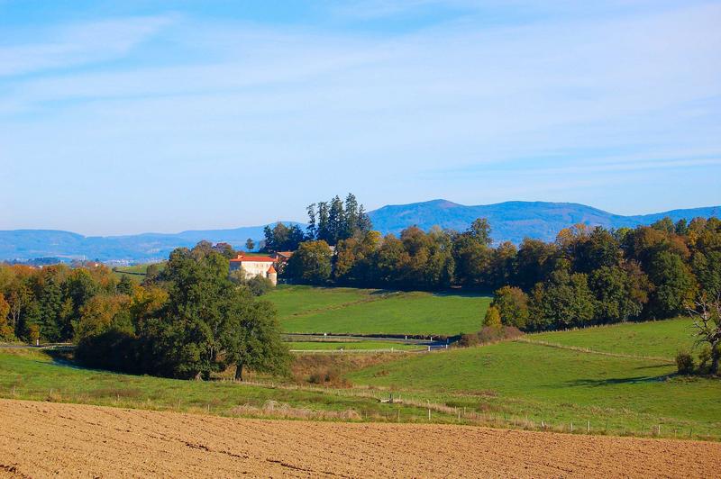 vue générale du château dans son environnement