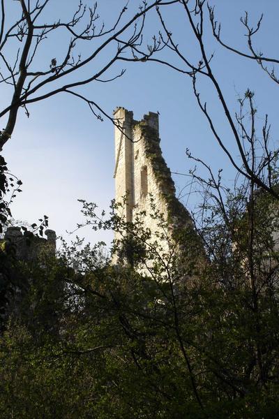 vue partielle des ruines