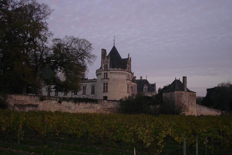 vue générale du château dans son environnement