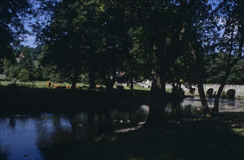 Le pont sur la Creuse, vaches dans un pré