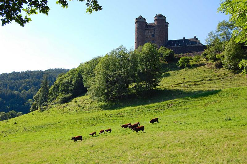 vue générale du château dans son environnement