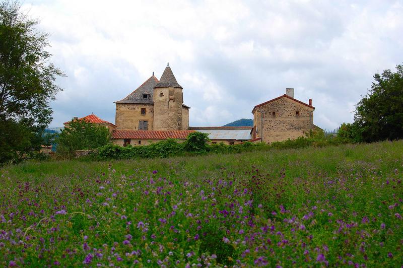 vue générale du manoir dans son environnement