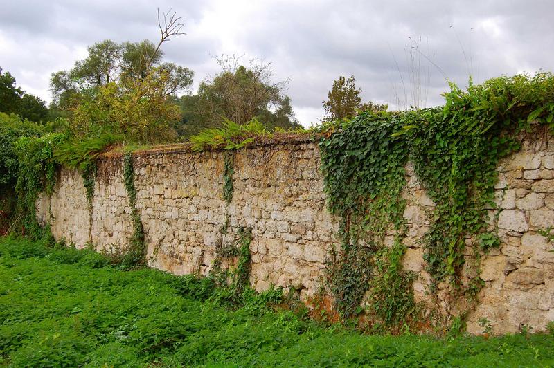 vue partielle du mur de clôture