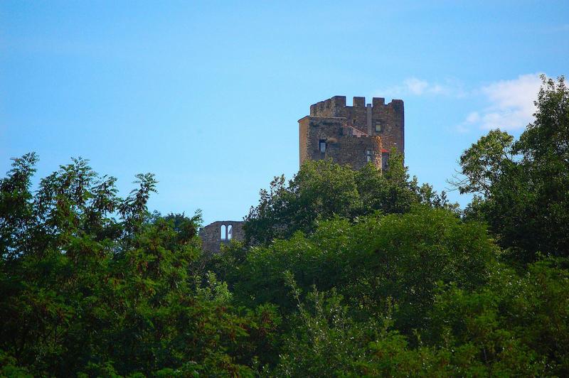 vue partielle du château dans son environnement