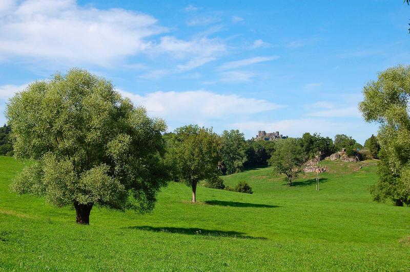 vue générale du château dans son environnement