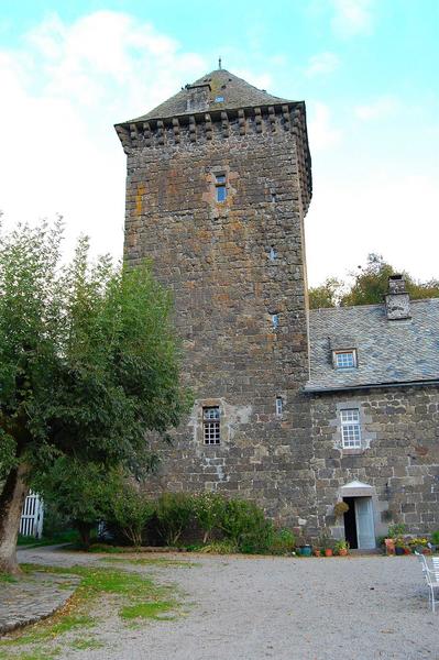 vue générale de la façade sud du donjon