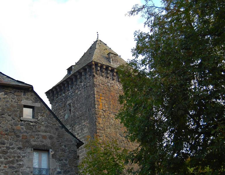 vue partielle de la partie supérieure des façades sud et ouest du donjon