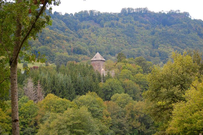 vue partielle du donjon dans son environnement