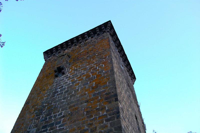 vue partielle des façades nord et ouest du donjon