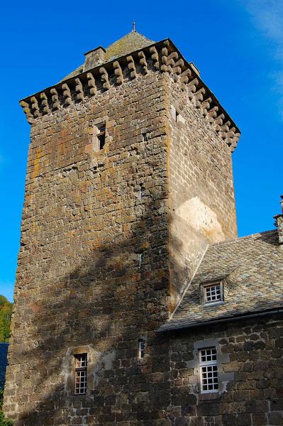 vue partielle des façades sud et est du donjon