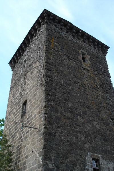 vue partielle des façades nord et ouest du donjon