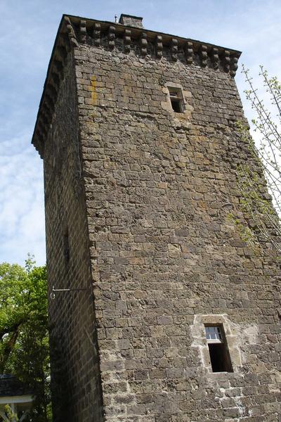 vue partielle des façades sud et ouest du donjon