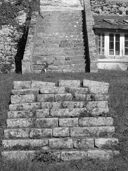 vue partielle de l'escalier sud