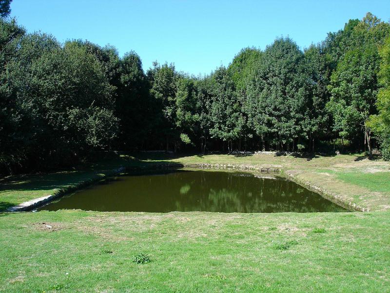 vue générale de la pièce d'eau du jardin ouest