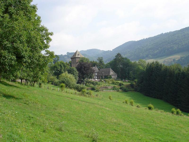 vue générale du château dans son environnement