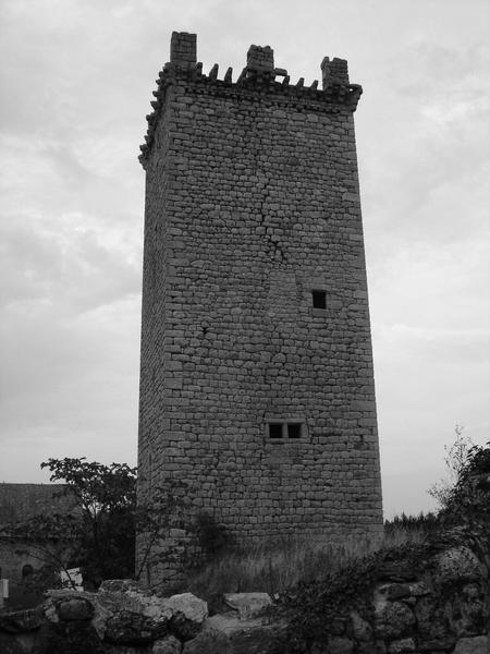 vue générale de la façade sud du donjon